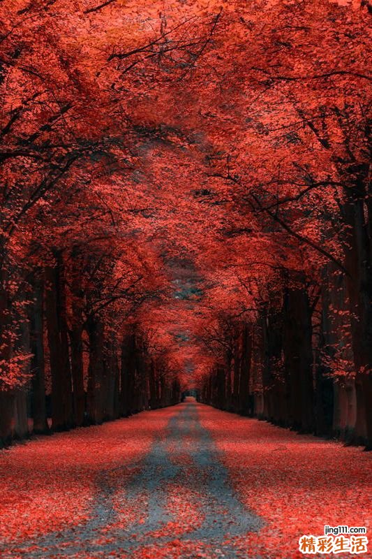 你的孩子为什么越来越胆小？