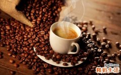 竹节三七