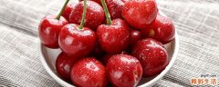 车厘子每天吃多少为宜 车厘子吃多了会上火吗