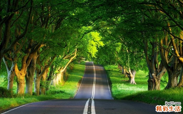 氧氟沙星滴耳液用法