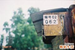 【美容养颜食谱】教你如何吃出美丽