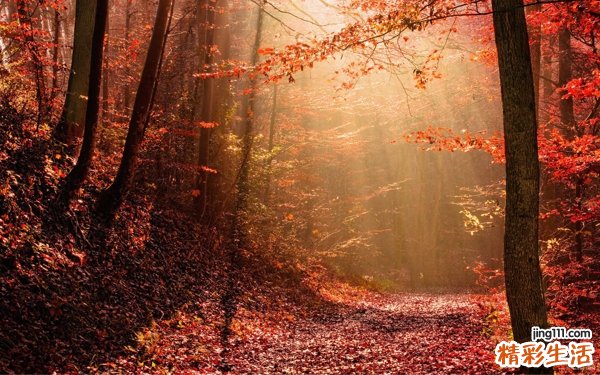 HBV与HCV重叠感染的原因_HBV与HCV重叠感染是怎么引起的