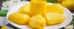 菠萝蜜出现酒味能吃吗 菠萝蜜白胶有毒吗