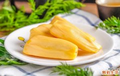 没熟的菠萝蜜怎么吃 没熟的菠萝蜜怎么做好吃
