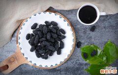 桑树果子有什么功效 吃桑树果有什么好处