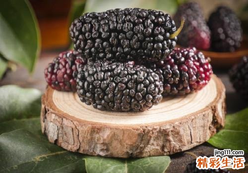 桑葚一天吃多少粒最好 桑葚吃多了会上火吗