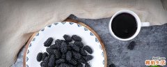 桑葚酒的制作方法 桑葚不放酒的制作方法