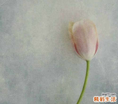 利于减肥的低卡食物推荐