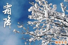 今年啥时候霜降,2023年啥时候霜降
