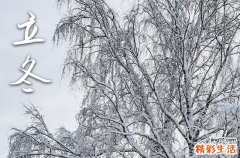 2023今年立冬是几点,2023年立冬时间几点几分