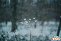 搞定宝宝坏脾气的方法