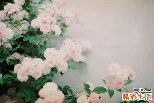 社交恐惧症怎么破