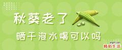 秋葵老了晒干泡水喝可以吗 秋葵晒干需要焯水吗