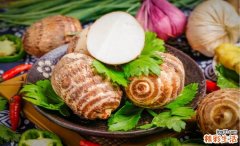 芋头发青了还能吃吗 芋头发芽了还能吃吗