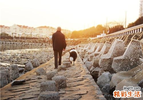 老年人吃苦瓜有什么好处 老年人吃什么水果好