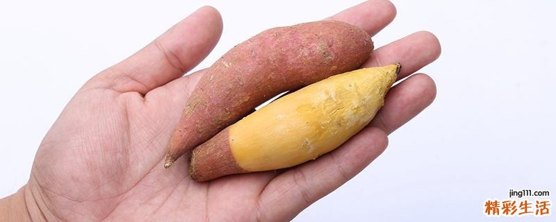 吃红薯会不会发胖 红薯热量是多少