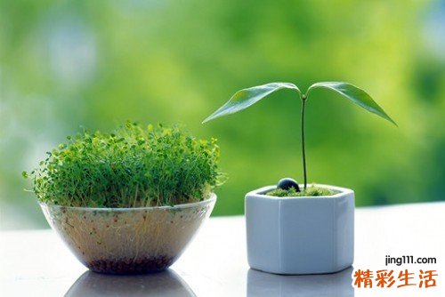 真菌有几种传播途径