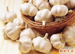 大蒜发芽能吃吗 发芽后的大蒜有哪些保健功效