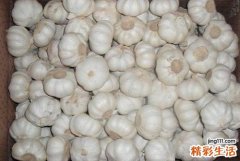 什么人不能吃大蒜 哪些人不能吃大蒜