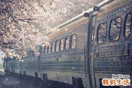 牛角七