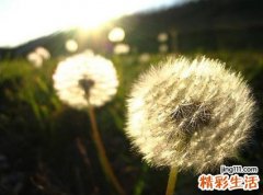 让孩子更加听话的方法