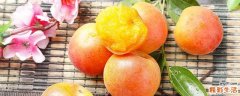 黄杏是不是黄桃 黄杏什么季节吃