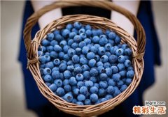 蓝莓吃多了上火吗 蓝莓有什么营养价值