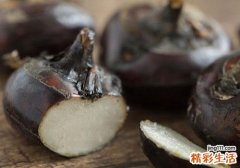 荸荠几月份上市 新鲜的荸荠怎么保存
