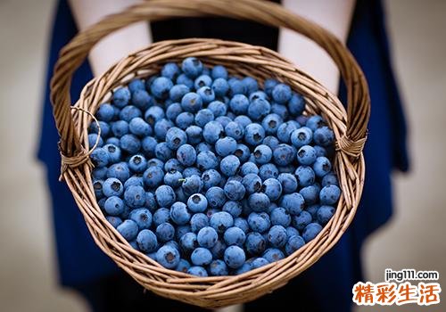 怎么挑选新鲜蓝莓 蓝莓怎么洗才干净