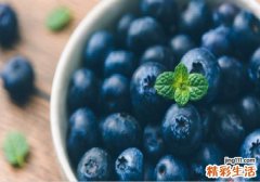 蓝莓可以连皮一起吃吗 宝宝吃蓝莓要剥皮吗