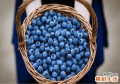 蓝莓和草莓能一起吃吗 蓝莓和什么不能一起吃