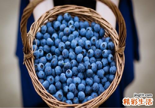 蓝莓和草莓能一起吃吗 蓝莓和什么不能一起吃