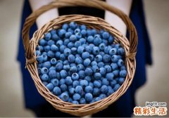 新鲜蓝莓一天吃多少合适 蓝莓吃多了会怎么样