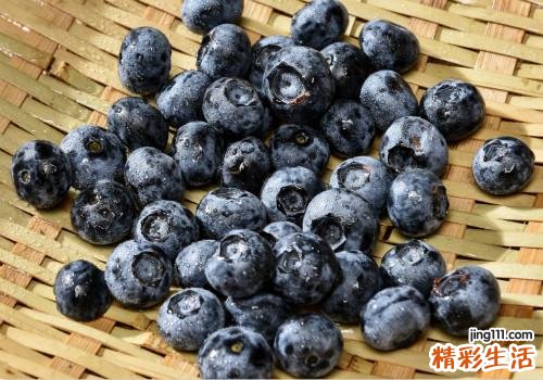 蓝莓上面的白色的东西是什么 蓝莓怎么挑选好