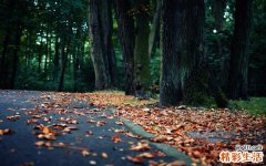 胫骨应力性骨折 胫骨应力骨折