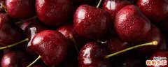 车厘子贵还是樱桃贵 车厘子好吃还是樱桃好吃
