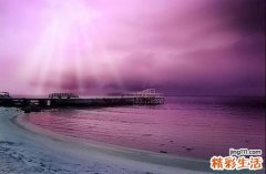 辛芩颗粒说明书