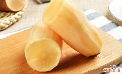 雪莲果什么季节吃最好 雪莲果什么时候吃最好