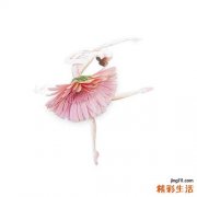 其他沙门菌感染