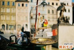 【怎样用食品制作唇膜】用食品制作唇膜的方法