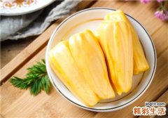 菠萝蜜选什么样的好 菠萝蜜怎么保存