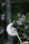 老年慢性支气管炎方
