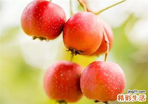 吃山楂会发胖吗 吃山楂要注意什么