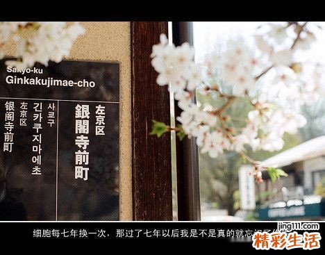 开放性脑外伤会引起哪些疾病？