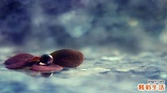 结节性硬化引发什么疾病