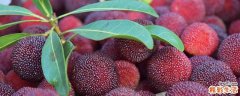 杨梅放久了会变甜吗 简单让杨梅变甜