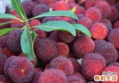 杨梅冷冻了好吃吗 杨梅冷冻之前要洗吗