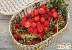 杨梅为什么要用盐水泡了才能吃 杨梅用盐水泡放多少盐
