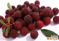 冷冻过的杨梅能不能吃 杨梅在冷冻室能放多久