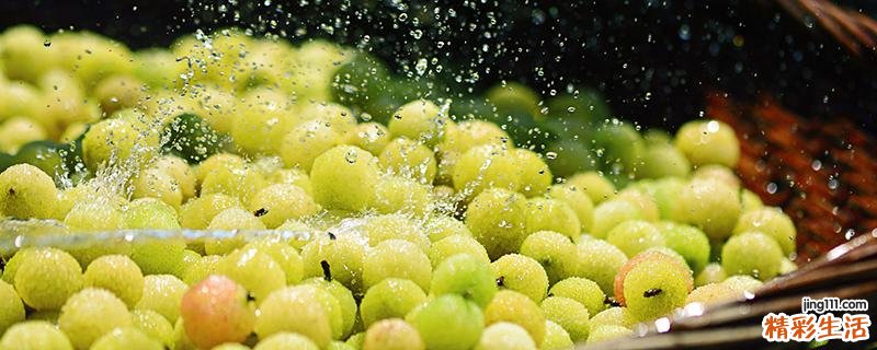 杨梅价格多少钱一斤 白杨梅好还是红杨梅好